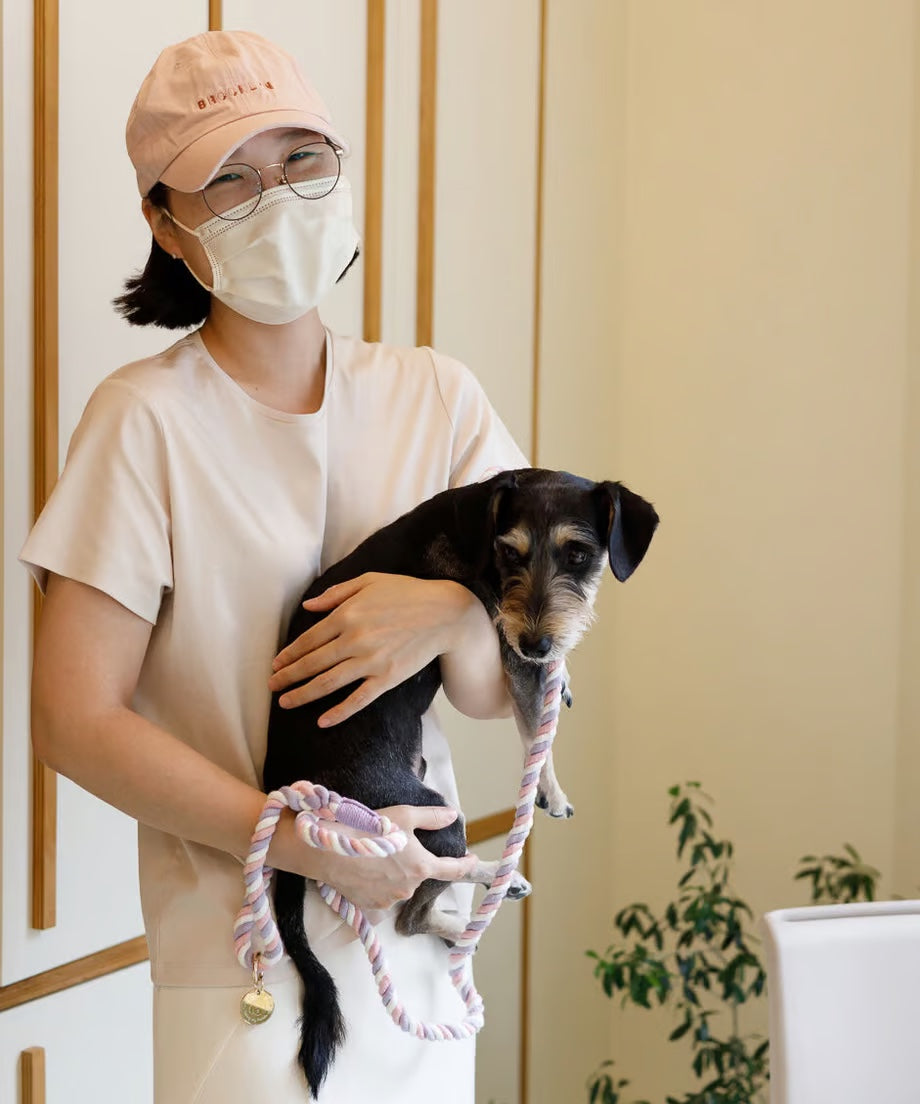 Rope Lead 120cm - UNICORN & Gold