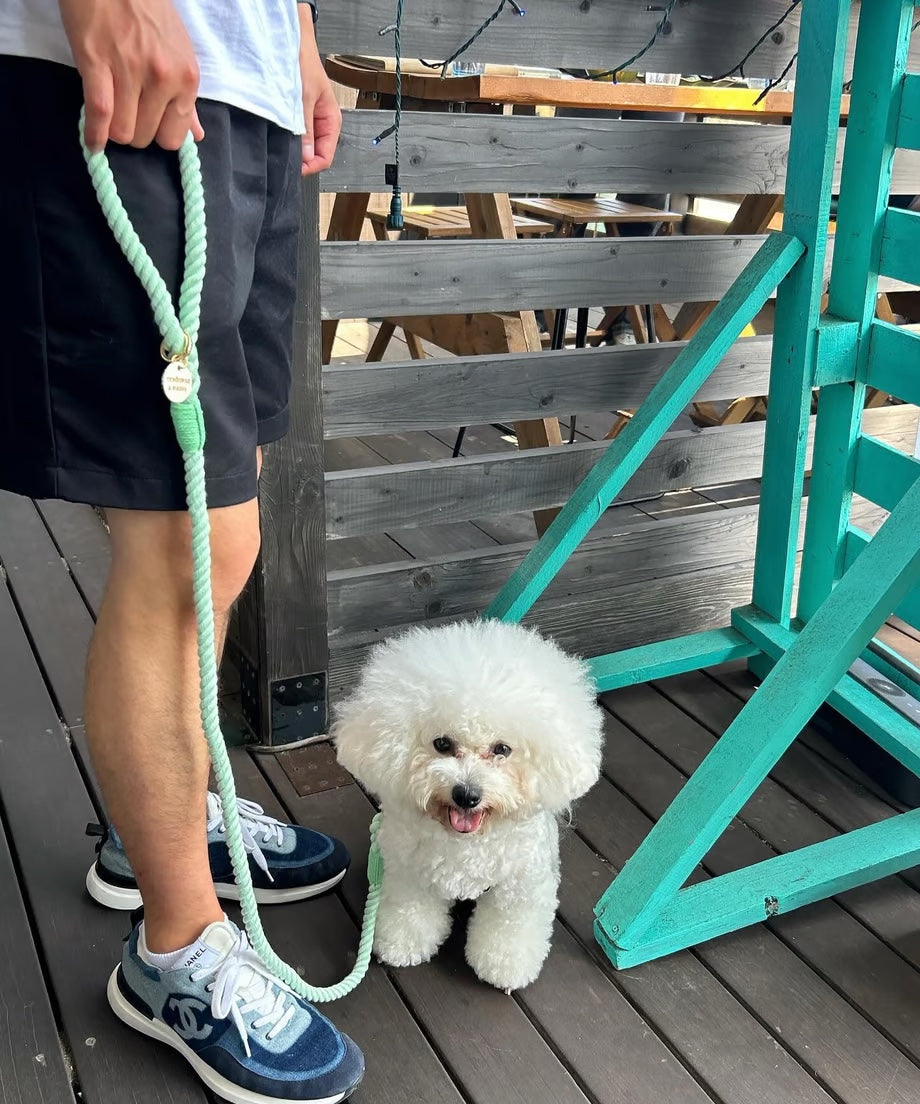 Rope Lead 120cm - WAKABA & Gold