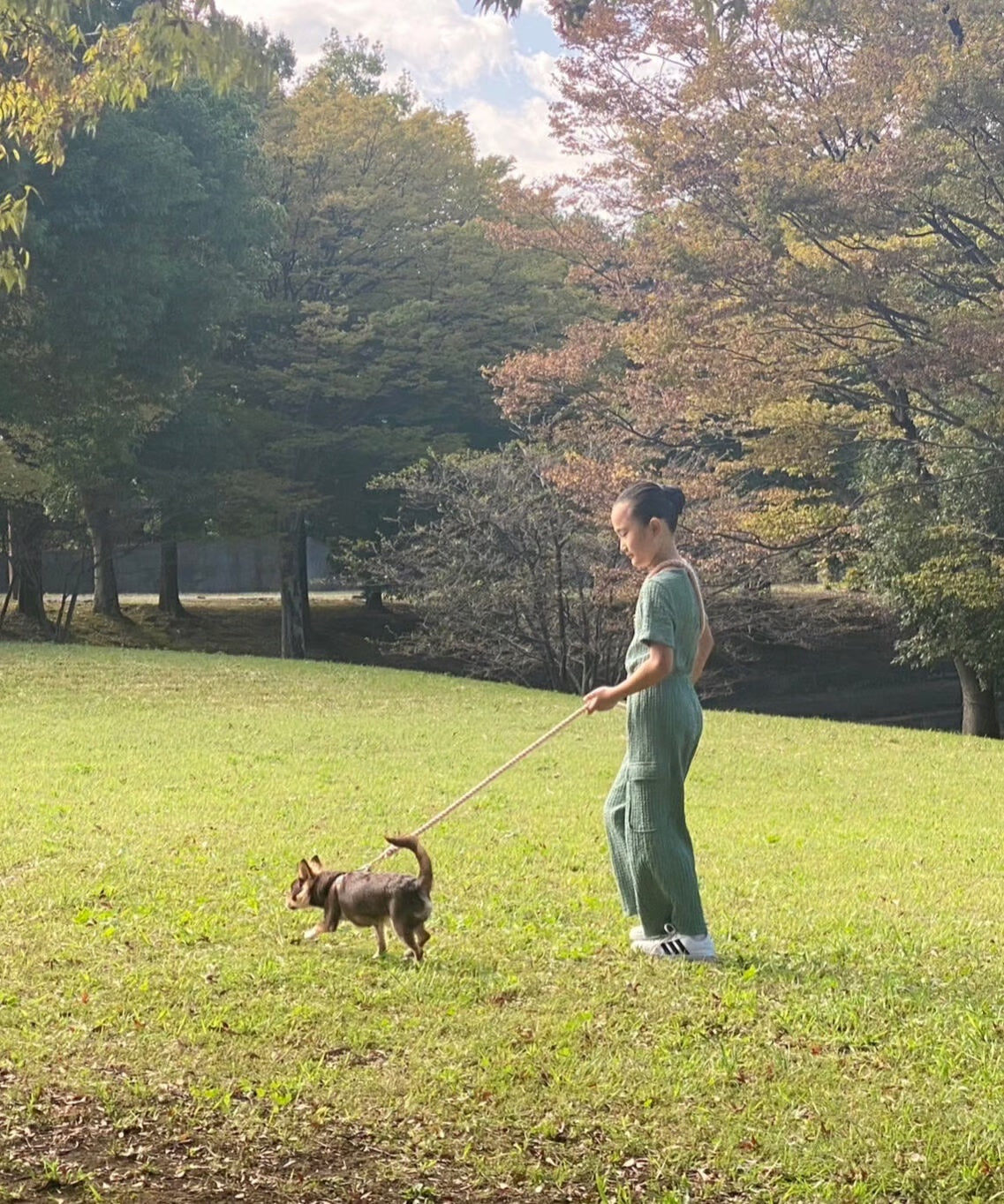 肩掛け ハンズフリーロープリード 210cm - SAKURA/さくら <GOLD>