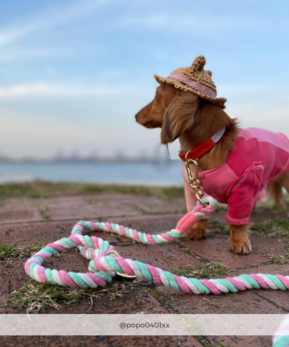 Hands-free rope lead 210cm - LOLLIPOP&Gold, thick lever hook snap hook