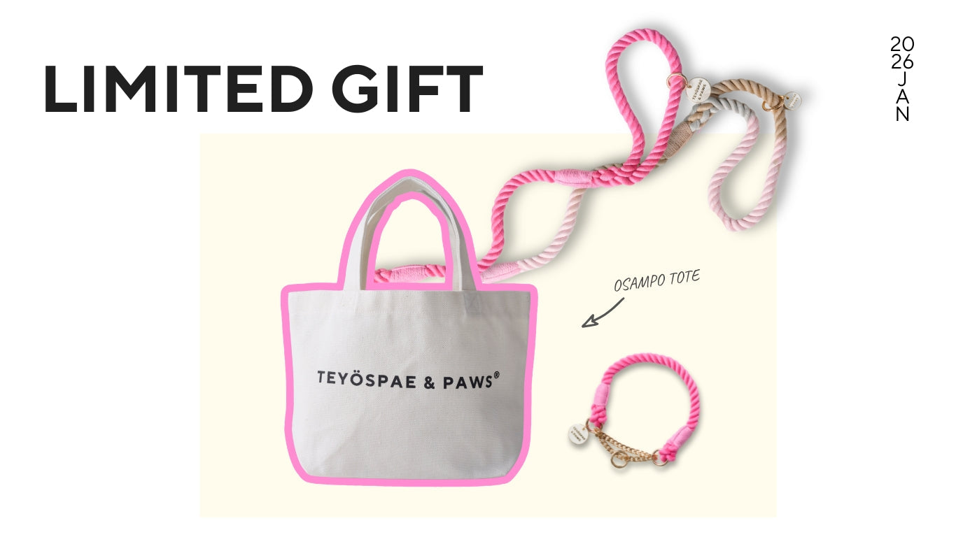 【数量限定】税込1万円以上のご注文で「OSAMPO TOTE」プレゼント