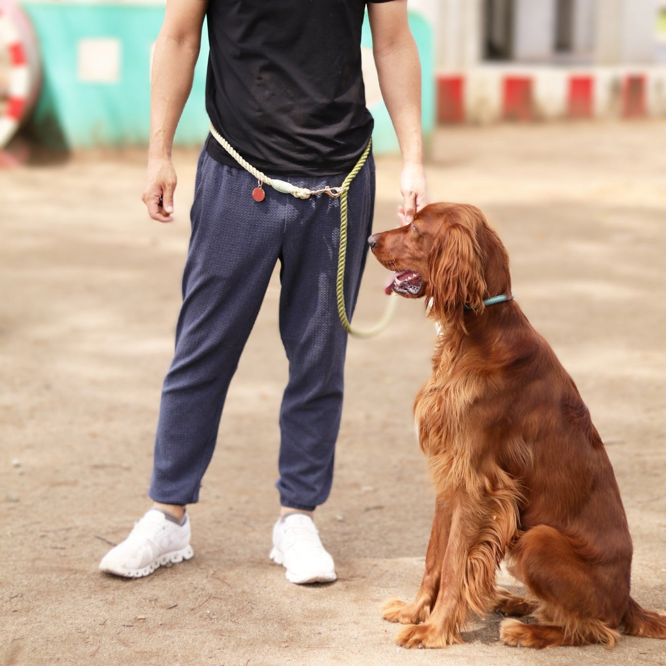 肩掛け ハンズフリーロープリード 210cm - OLIVE KHAKI/オリーブカーキ &lt;GOLD&gt;