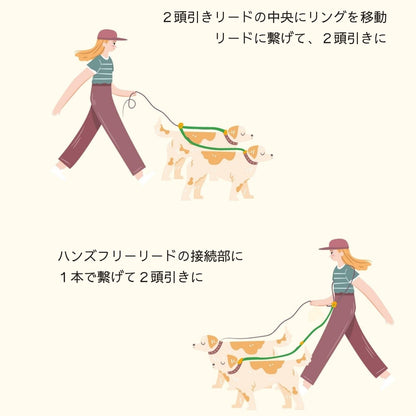 ２頭引き 多頭引き リード 90cm 全4色 <GOLD>