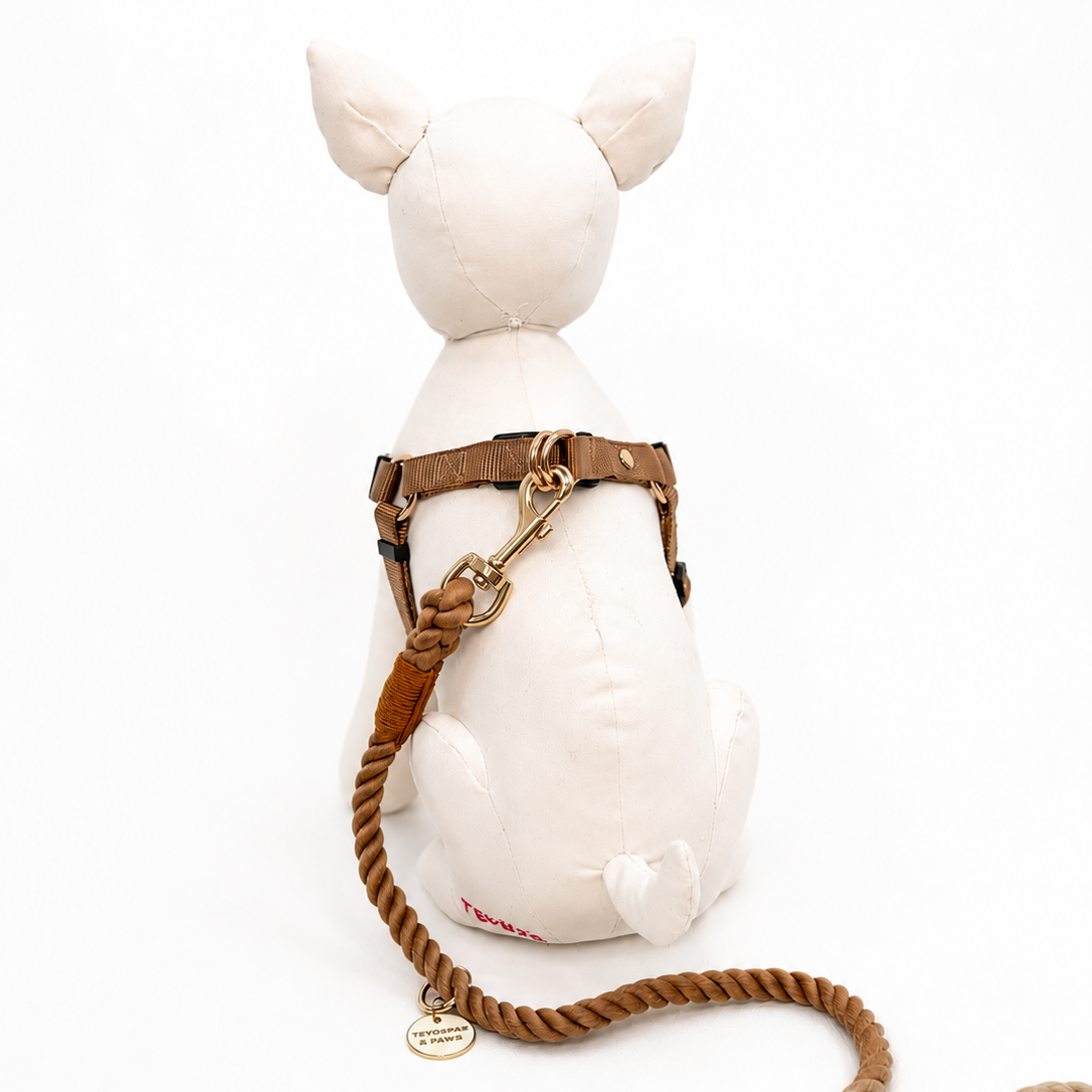 犬用ハーネス BROWN（ブラウン） Mサイズ 中型犬向け