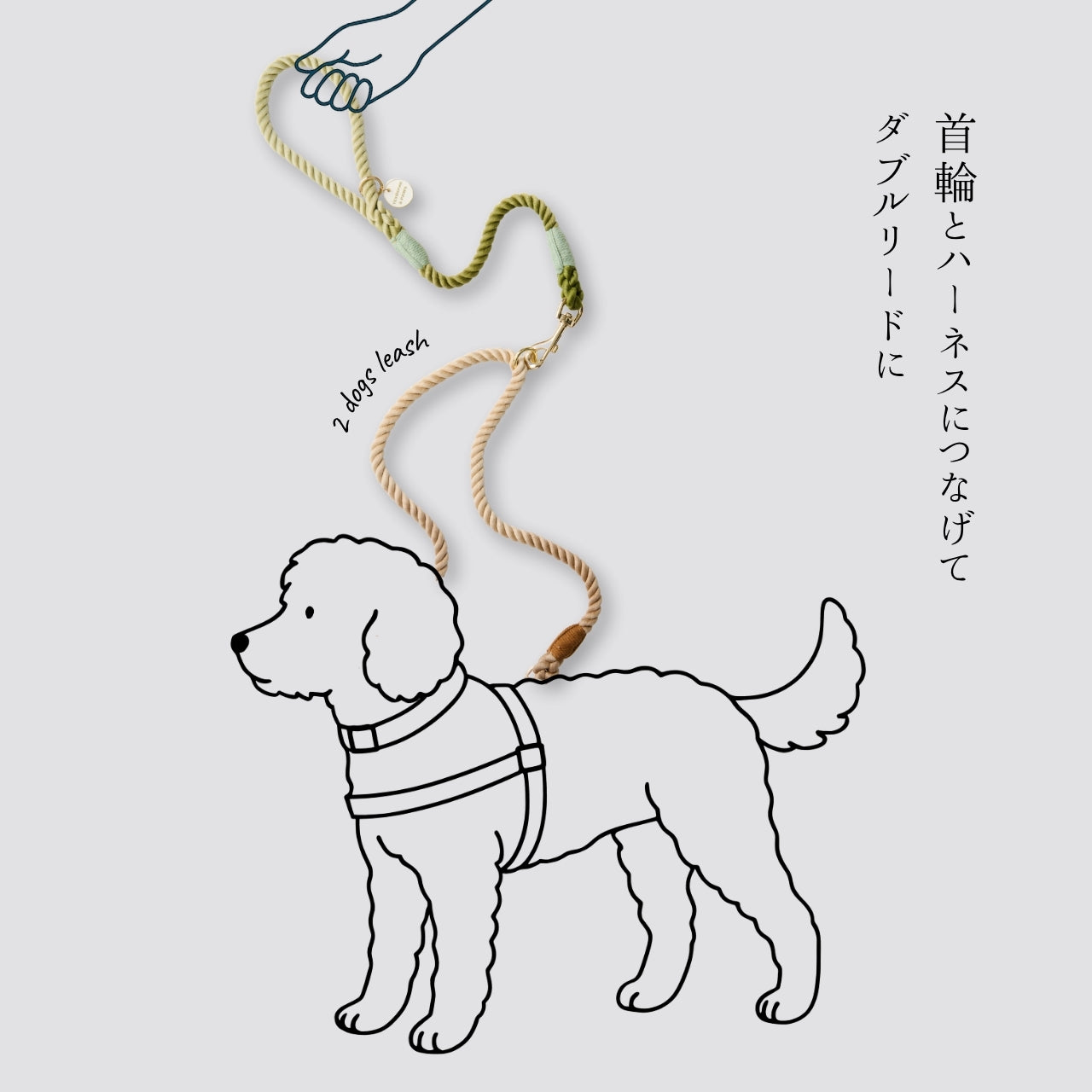 ２頭引き 多頭引き リード 90cm 全4色 <GOLD>