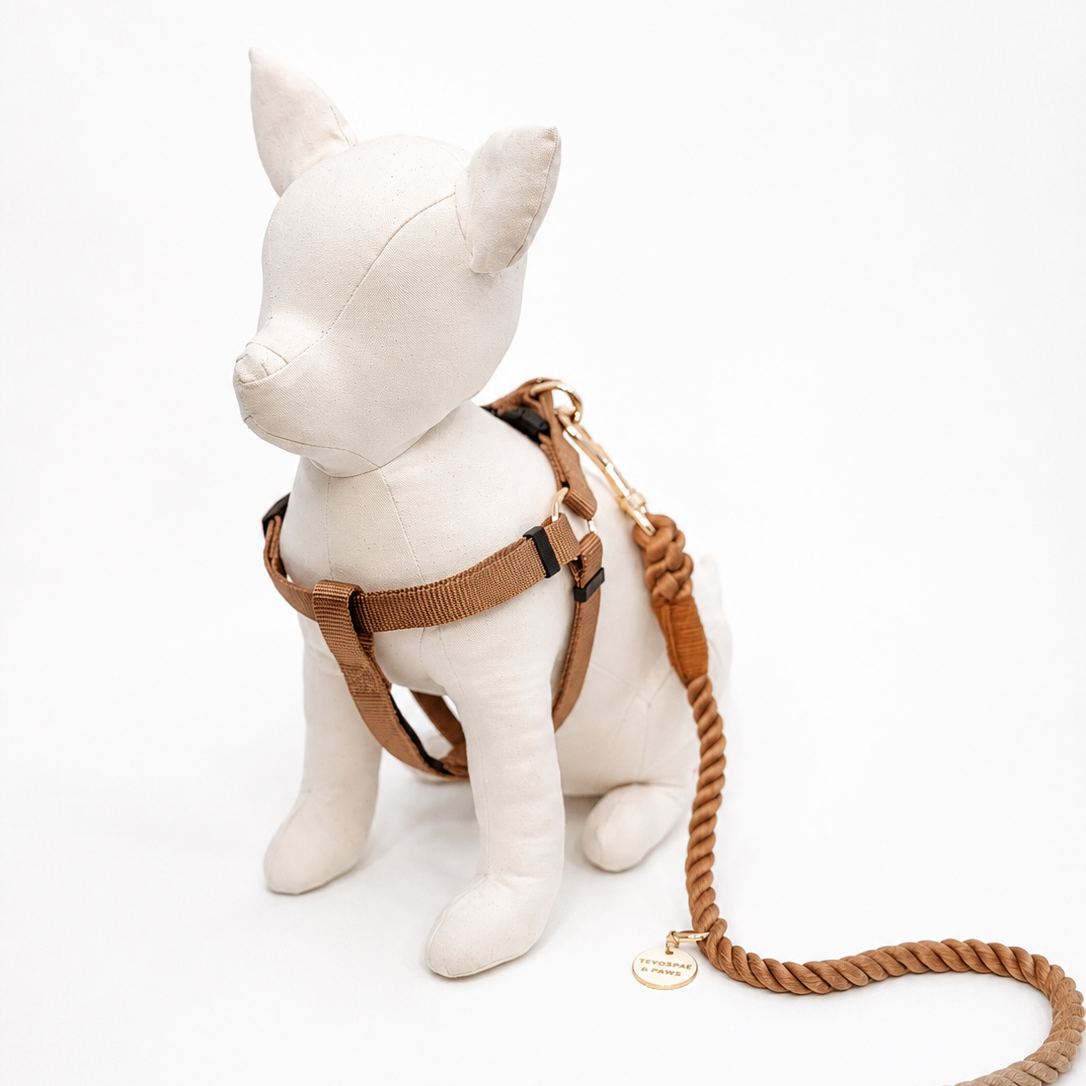 犬用ハーネス BROWN（ブラウン） Mサイズ 中型犬向け