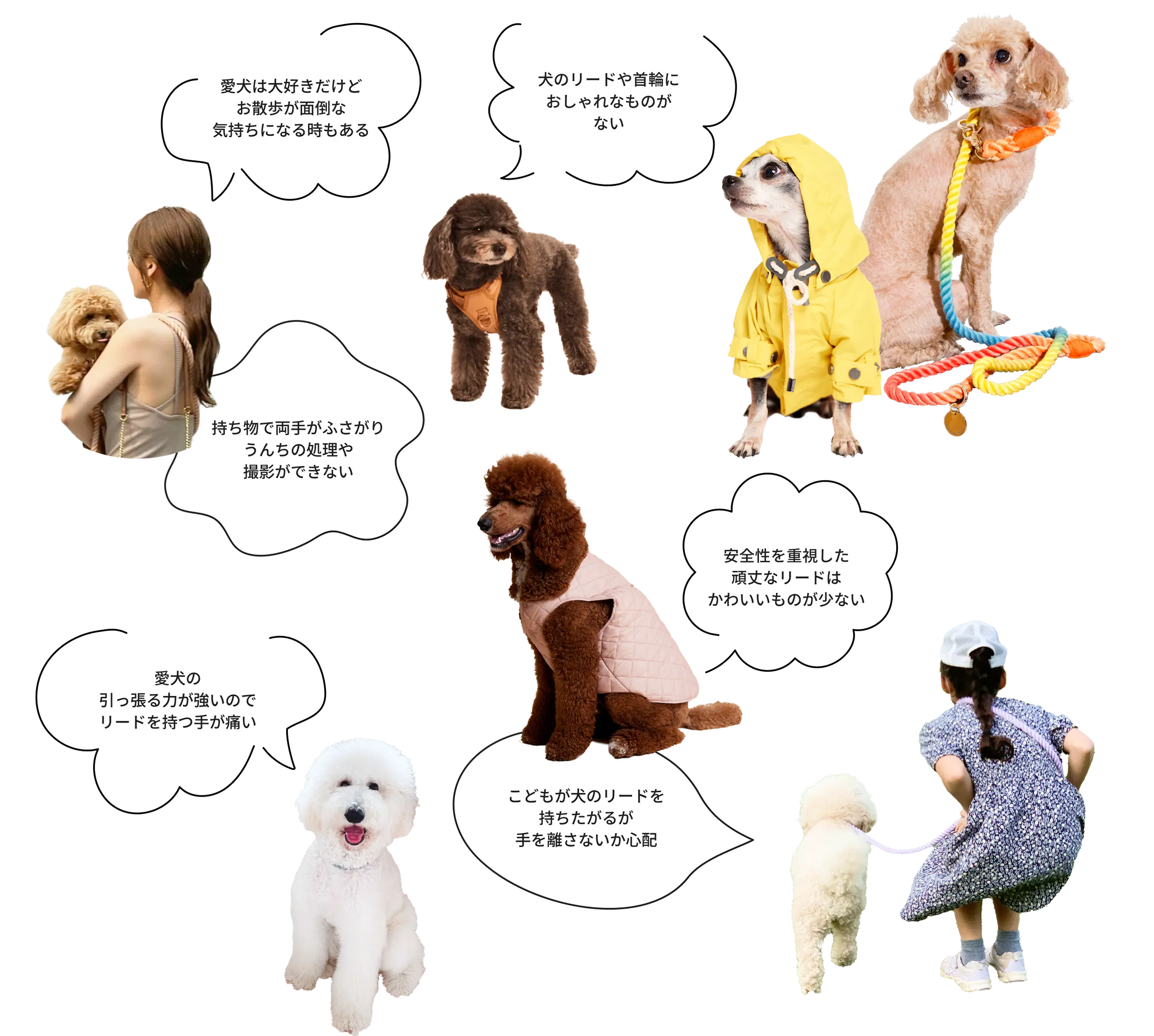 犬のリードのさまざまなお悩み
